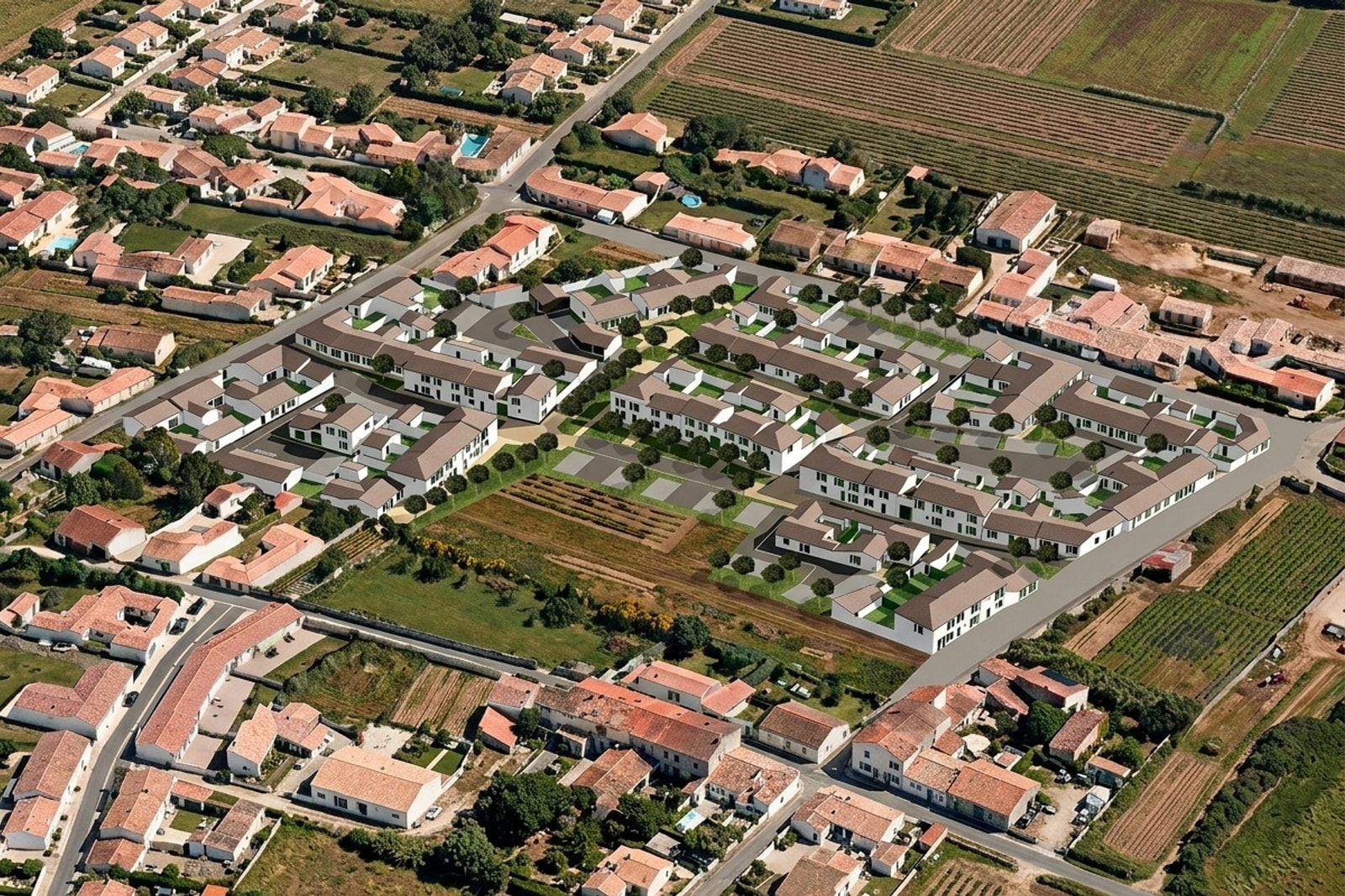 Insertion du Fougerou dans une vue aérienne de Sainte-Marie-de-Ré : 54 maisons individuelles entre le bourg et les vignes.