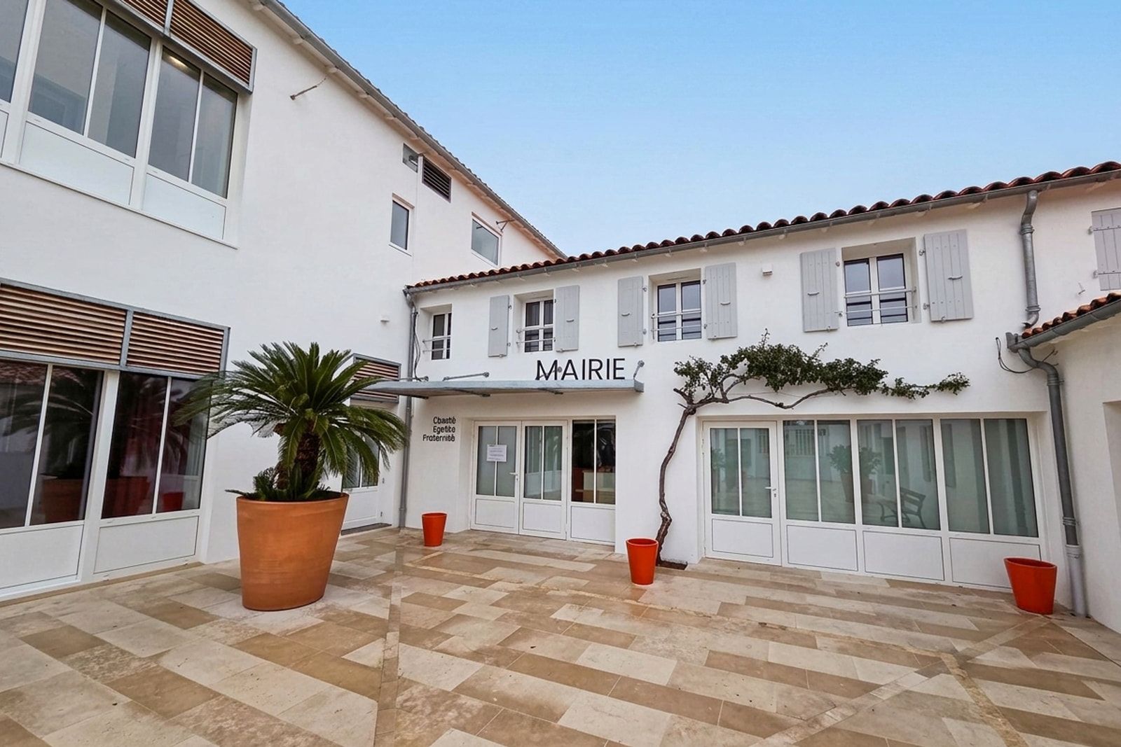 Cour dallée de la mairie des Portes-en-Ré : bâti blanc à volets gris perle, treille et palmier en pot devant l’accueil.